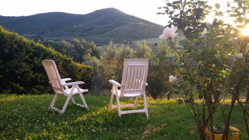 two chairs sitting in the grass near a tree at Paomà trentova in Agropoli