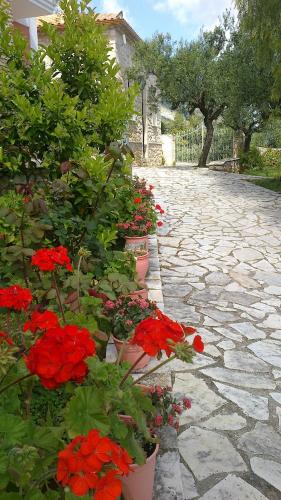 a group of red flowers in pots on a stone walkway at Anatoli Labreon in Agia Marina