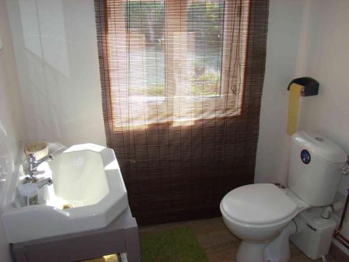 La salle de bains est pourvue de toilettes blanches et d'un lavabo. dans l'établissement A la belle dame, à Nogent-sur-Seine