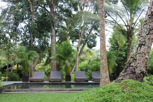 a group of lounge chairs sitting next to a pool at KAJU GREEN eco lodges in Unawatuna