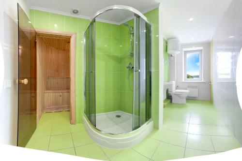 bagno verde con doccia e servizi igienici di Volna Resort a Svitlovodsʼk