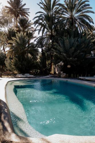 a swimming pool with palm trees in the background at L'Ma Lodge in Skoura