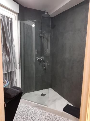 a shower with a glass door in a bathroom at Riad Medina Mudejar in Toledo