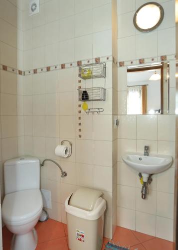 a bathroom with a toilet and a sink at Dom w górach na wyłączność Agro Zibi in Korbielów