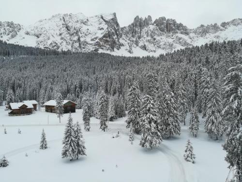 a snow covered forest with a cabin and a mountain at Residence Grand Hotel Carezza in Nova Levante