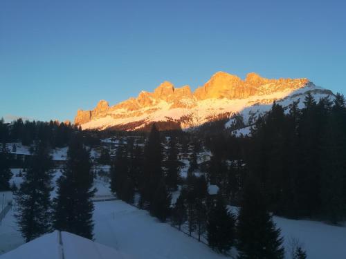 a view of a mountain with snow and trees at Residence Grand Hotel Carezza in Nova Levante