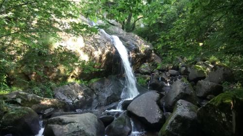 a waterfall on the rocks in a forest at gite les chaumeix in Prondines