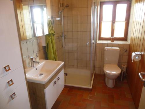 y baño con aseo, ducha y lavamanos. en Ferienhaus Gründl, en Leibnitz