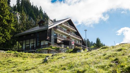 Příroda nedaleko apartmánu