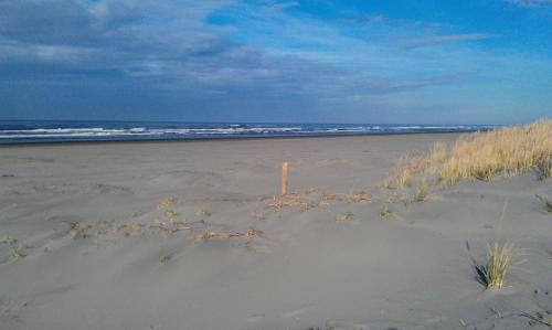a sandy beach with some grass and the ocean at Historic 1920s Cabin in Long Beach