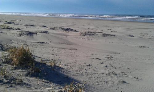 a sandy beach with footprints in the sand at Historic 1920s Cabin in Long Beach