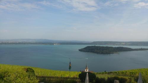 Blick auf einen großen Wasserkörper mit einem Gebäude in der Unterkunft Ferien auf dem Weingut in Ligerz