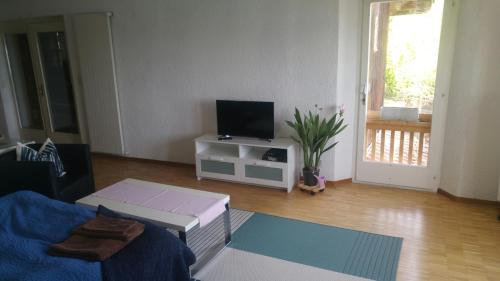 ein Wohnzimmer mit Couch und Fernseher in der Unterkunft Ferien auf dem Weingut in Ligerz