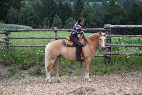 Φωτογραφία από το άλμπουμ του Niederhaeusererhof σε Falzes
