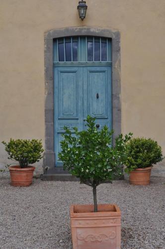 two potted plants in front of a blue door at Château des Grèzes in Agnat