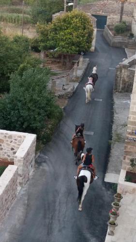 Fotografie z fotogalerie ubytování Country House Konavle v destinaci Gruda