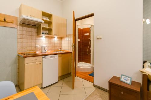 A kitchen or kitchenette at Central Krak Apartments - studios
