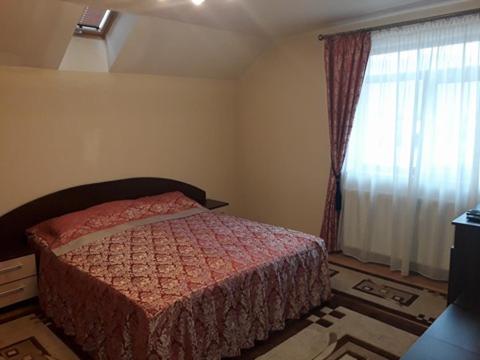 a bedroom with a bed and a window at Pensiunea Salauta in Telciu