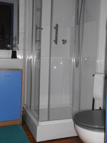 La salle de bains est pourvue d'une douche et de toilettes. dans l'établissement B&B Het Rommelwater, à Gand