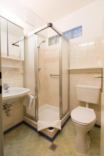a bathroom with a shower and a toilet and a sink at Appartementhaus Lafenthaler mit kostenlosem Eintritt in Alpentherme in Bad Hofgastein