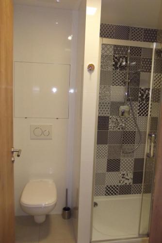 a bathroom with a toilet and a shower at Apartmán U Sjezdovky in Dolní Morava