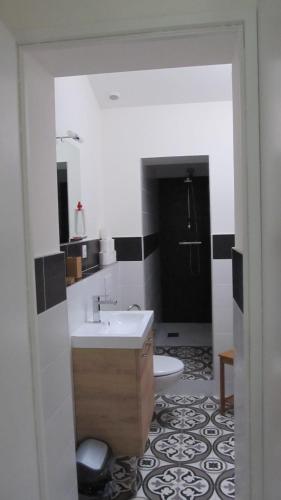 une salle de bain avec un lavabo et des toilettes dans l'établissement Studio Cosy Sur Les Quais De Saint Michel, à Bordeaux