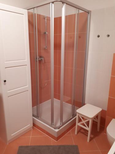 a shower with a glass enclosure in a bathroom at Hrabovo Alžbeta 16 in Ružomberok