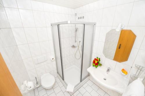 ein Bad mit einer Dusche, einem WC und einem Waschbecken in der Unterkunft Landgasthof Schwarz in Windsbach