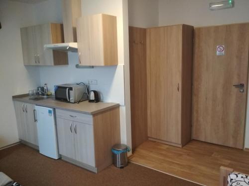 a small kitchen with a counter and a microwave at Penzion Pod Kaštany Kvasice in Kvasice
