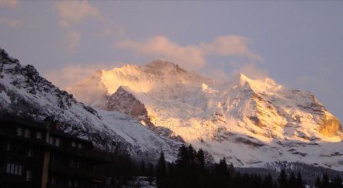 Chalet Tilia en invierno