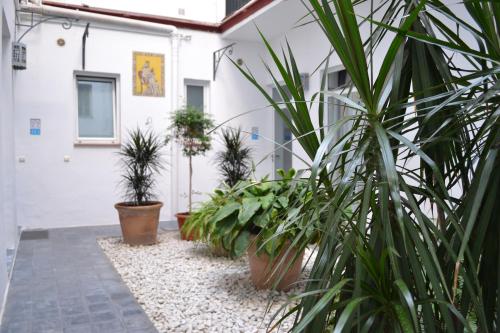 dziedziniec z doniczkami przed budynkiem w obiekcie Casas y Patios de Sevilla w Sewilli