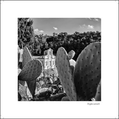 a black and white photo of a house and a cactus at Le Signorine in Cava dʼAliga