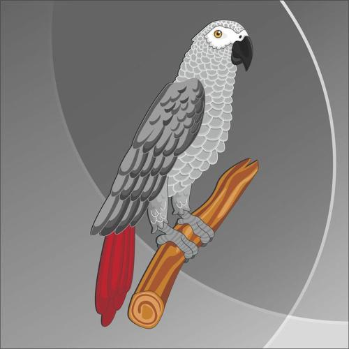 a parrot sitting on a perch on a branch at B&B Il Cenerino in SantʼAntìoco