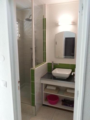 La salle de bains est pourvue d'un lavabo et d'une douche. dans l'établissement Hibiscus, à Le Moule