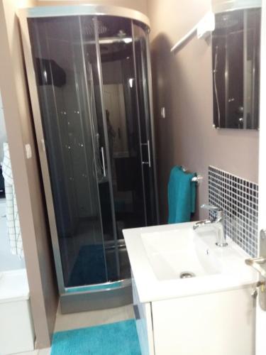 a bathroom with a sink and a glass shower at Private Studio Brussels Airport in Brussels