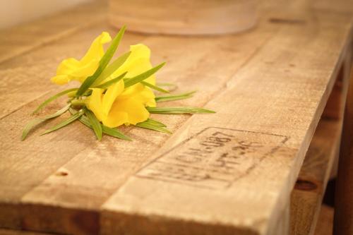 a yellow flower sitting on top of a grave at Baladin Zanzibar Beach Hotel in Michamvi