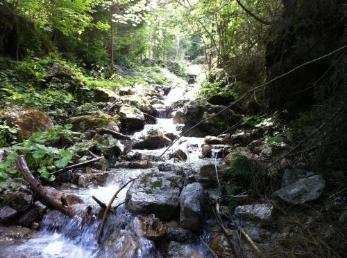 a stream in a forest with rocks and trees at Biohof Naturzeit Faaker See in Drobollach am Faakersee
