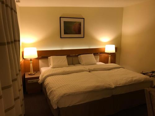 una camera d'albergo con un letto e due lampade di Hotel Podzamcze a Tarnów