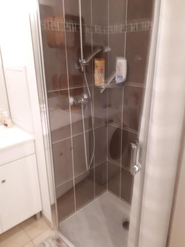 een douche met een glazen deur in een badkamer bij Le Charleston 3p 5 minutes Disney Parking gratuit Terrasse in Chessy