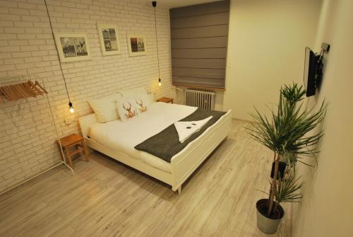 a bedroom with a white bed and a potted plant at Świdnicka Apartment-City Centre in Wrocław