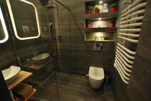 ein Bad mit einem WC und einer Glasdusche in der Unterkunft Świdnicka Apartment-City Centre in Breslau