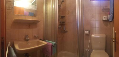 シュルンスにあるHaus Loretzのバスルーム(洗面台、トイレ、シャワー付)