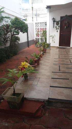 a row of potted plants in a courtyard at Room in Cancun Stadium in Cancún