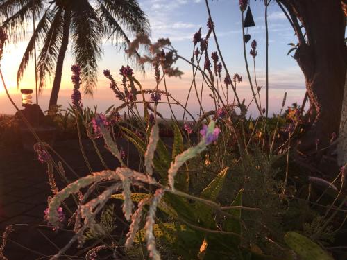 Gallery image of Kona Bayview Inn in Captain Cook