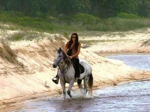 a woman riding a horse in the water at Fairway Haven Getaway in Mollymook