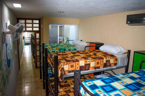 a room with four bunk beds and a hallway at Hostel Áabilo'ob in Progreso