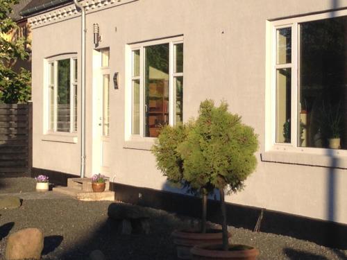 Fotografie z fotogalerie ubytování Klarskov Bed & Breakfast v destinaci Klarskov