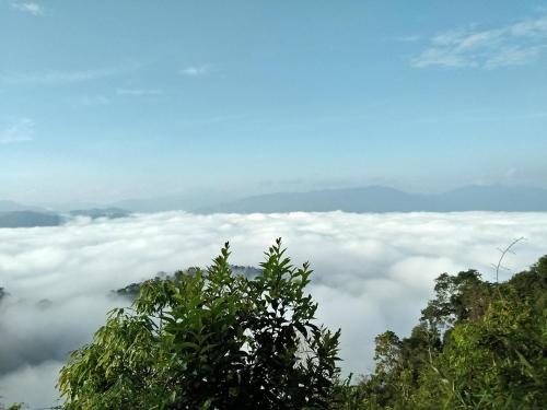 リゾートの近くで見られる自然の景観