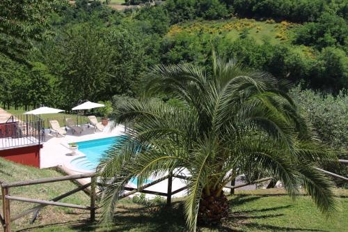 Casa Sacciofa – Photos 5