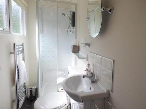 a white bathroom with a sink and a toilet at River's Nook in Llangynog